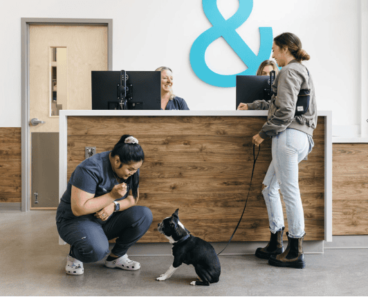 woman and dog testimonial