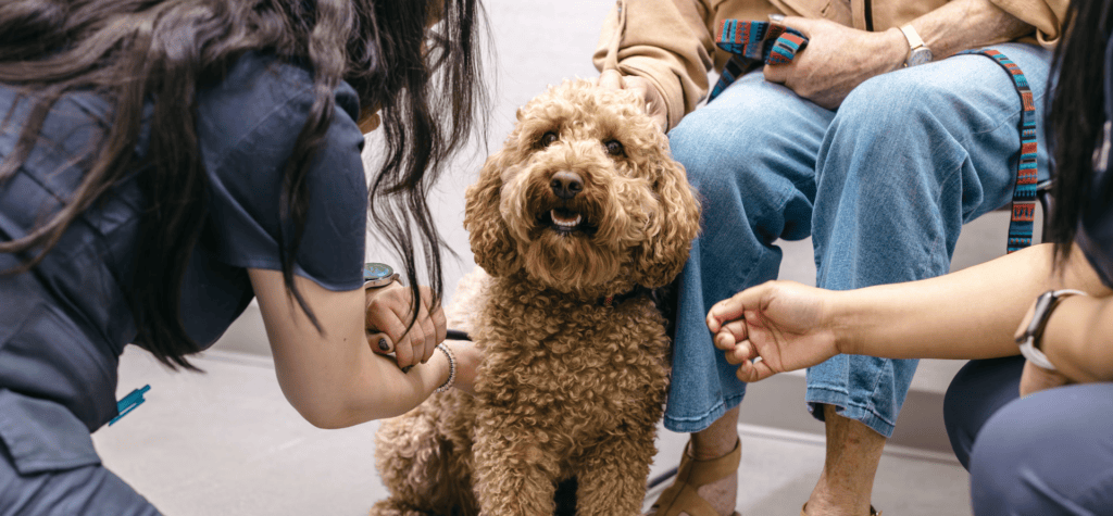 team gathered around dog